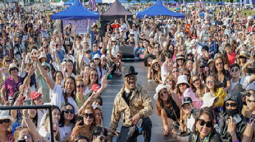 PLRS Sound & Stage Hire Black Eyed Peas_4